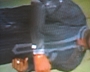 Musa36