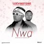 LeevinStone