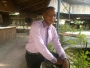 frankinzy