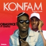 OBAS9ICE