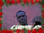 frankb27