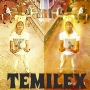 TEMILEX FT PRECHYBOY