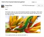 Sowmedia