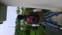2muchmony