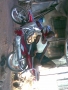 Fraaank