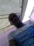 osazee45