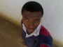 Adamic