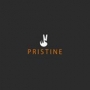 pristinesess