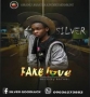 Fake Love by Silver