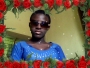 hollabhisi