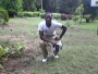 maestrob