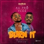 AU-Pro Ft. Ycee