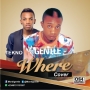 WHERE (cover) by GENTLE and TEKNO