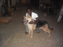 llason