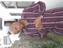 abego80