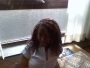 crazy-chick