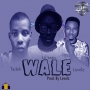 Wale (prod. Levels) by C vybez x Tadek ft Levels