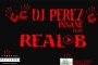 Insane by DJ Perez ft. Real -B