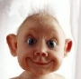 just-jide