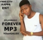 kingyoungalex 