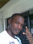 stewils