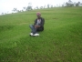 shewes