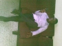tbouy