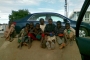 shamoh