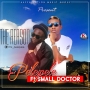 Pelepele Ft. Small Doctor