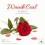 Plan B by Wande Coal
