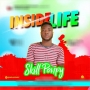 skillponpy