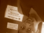 hayoh007