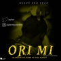 YFCEE OLAMIDOTUN FT KING FLEXXY