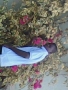 drsamuel