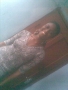 sunshine20