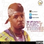 THE ART FACULTY-FANCY THINGS