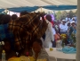 ebodika