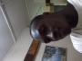 otunaiya