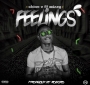Feelings by shine v Feat mizzy