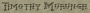timhevencent