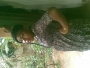 endy44