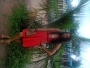 fairyydamsel