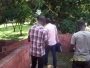 tobhee