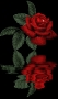walex4uall