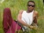 gauis