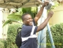 oluyeba