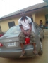 uaikhe4luv