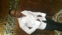 stardoncool