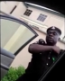 iyabose