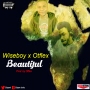 Wiseboy x Otflex